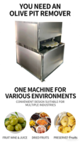 Machine automatique de retrait de noyaux de fruits et de dattes avec composants à engrenages, puissance 1,5 kW, capacité 48-96 pièces/min pour le retrait des noyaux de palmier