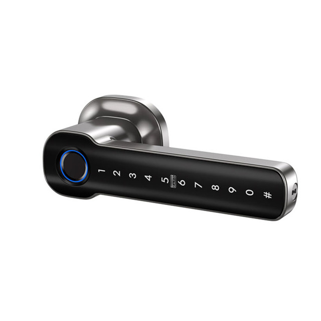 Low-cost Handle Lock Smart Fingerprint Password Ic Card Digital Home Indoor Lever Lock