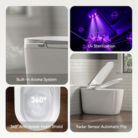 Nouvelle ligne grise conception chasse automatique en céramique intelligente cuvette de toilette électrique intelligente salle de bain placard à eau toilette intelligente