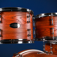 PD Best Sale Good Quality Birch Wood Double Layer Professional Use Drum Set Nice Color Cheap Cost