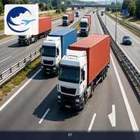 Transport professionnel de camions de Shanghai vers la Norvège, service de transitaire DDU, convention TIR, service DDP DDU