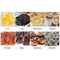 Automatische groentedroger / RVS groente-, vis- en fruitdehydrator / Voedseldroger