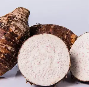新鮮な丸ごと/大型の高品質の新しいBRC認定冷凍タロイモの卸売輸出