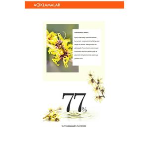 Crema de Hamamelis A'PIEU 50ml, Crema Facial para Control de Sebo y Reducción de Poros - Product Image 3