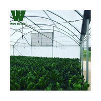 Serre Système hydroponique pour plantes vertes, légumes, fruits et melons