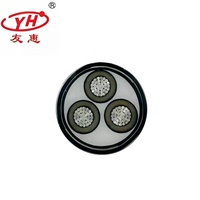 Cable de Minería Blindado de Alta Resistencia MYJV MYJV22 8.7/10kV XLPE, Retardante de Llama, Certificado MT818, Cable de Alto Voltaje para Minas de Carbón IEC