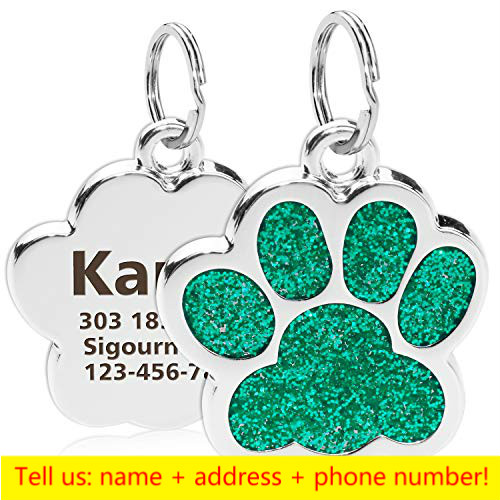pet tag 4
