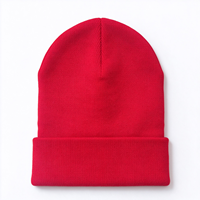 Bonnet en tricot à revers avec logo brodé personnalisé, chaud en acrylique pour l'hiver, pour hommes et femmes, vente en gros, sports de plein air