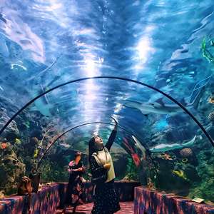 Acrylique de qualité architecturale pour les fenêtres d'aquarium incurvées et les dômes panoramiques - Product Image 2