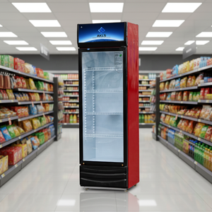 Réfrigérateur vertical <span class=keywords><strong>commercial</strong></span> pour boissons avec porte vitrée pour supermarché, personnalisable avec logo, pour l'affichage des boissons - Product Image 2