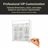 Congélateur vertical vitrine à double couche avec porte en verre trempé anti-buée et éclairage LED personnalisé
