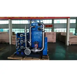 Compresseur de gaz spécial en gros en Chine 60hz fonctionnement muet compresseur à membrane biogaz