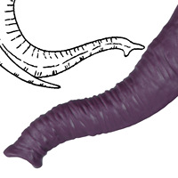 Dildo ultra-long en silicone liquide, simulation trompe d'éléphant, plug anal, dildo animal, dildo éléphant, gros dildo, jouets sexuels