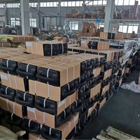 Ensemble de 55 kg de plaques de poids et barre de curl en fonte – Équipement de gym à domicile pour développations couchées et squats
