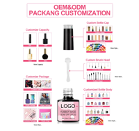 Vernis à ongles gel craquelé personnalisable, laque hybride semi-permanente, effet craquelé pour nail art