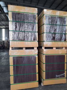 Diseño moderno Durable Construcción Pisos Precio bajo Película Frente Madera contrachapada Álamo Envuelto Bolsa de plástico de madera vietnamita para oficina - Product Image 3