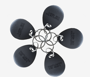 定制125KHz /13.56MHz ID/IC NFC RFID门禁卡钥匙扣 - Product Image 2