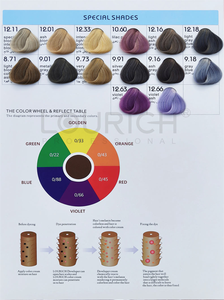LOURICH Cartella <span class=keywords><strong>Colori</strong></span> Professionale OEM per Salone, Crema Colorante per <span class=keywords><strong>Capelli</strong></span> di Alta Qualità, 67 Tonalità Premium - Product Image 3