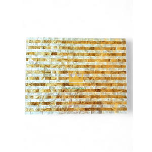 Alfombra de Café Rectangular de Nácar Ecológica de 6 mm de Grosor, Creativa, para Almacenamiento, Hogar, Sala de Estar, Estilo Moderno, Ligero y de Lujo, Económica - Product Image 4