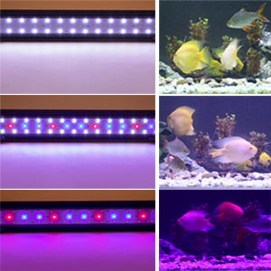 Éclairage à led <span class=keywords><strong>pour</strong></span> aquariums avec supports extensibles en alliage d'aluminium, lumière d'<span class=keywords><strong>aquarium</strong></span> à led <span class=keywords><strong>bleu</strong></span> rouge <span class=keywords><strong>pour</strong></span> <span class=keywords><strong>aquarium</strong></span> d'<span class=keywords><strong>eau</strong></span> <span class=keywords><strong>douce</strong></span> - Product Image 4