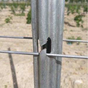 Poste de viñedo galvanizado de <span class=keywords><strong>madera</strong></span> tratada térmicamente de 2,0mm de espesor para cultivo de uva Poste de estaca de metal - Product Image 3