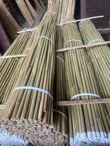 Bâtons de soutien pour plantes en bambou de haute qualité pour les légumes, les fleurs, les pépinières, les piquets de jardin, 100 cm de long - Product Image 5