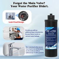 Filter Air Alkali Bersertifikasi NSF 42 untuk Rumah Tangga, Kapasitas 10000 Galon, Lipat, di Bawah Kabinet Dapur, dengan Filtrasi PP+CTO