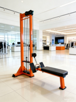 Usine d'équipements de gym - Machine de rameur à poulie basse simple en acier à prix abordable pour machines à sélection de charge par broches