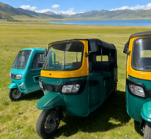 Tuk Tuk <span class=keywords><strong>Taxi</strong></span> à prix chinois très demandé, tricycle électrique 3000W, tricycle à passagers, pousse-pousse électrique - Product Image 4