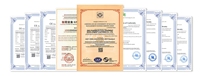 Vente d'usine : Machine de remplissage et d'emballage de poudre de haute qualité pour le traitement des produits de première nécessité