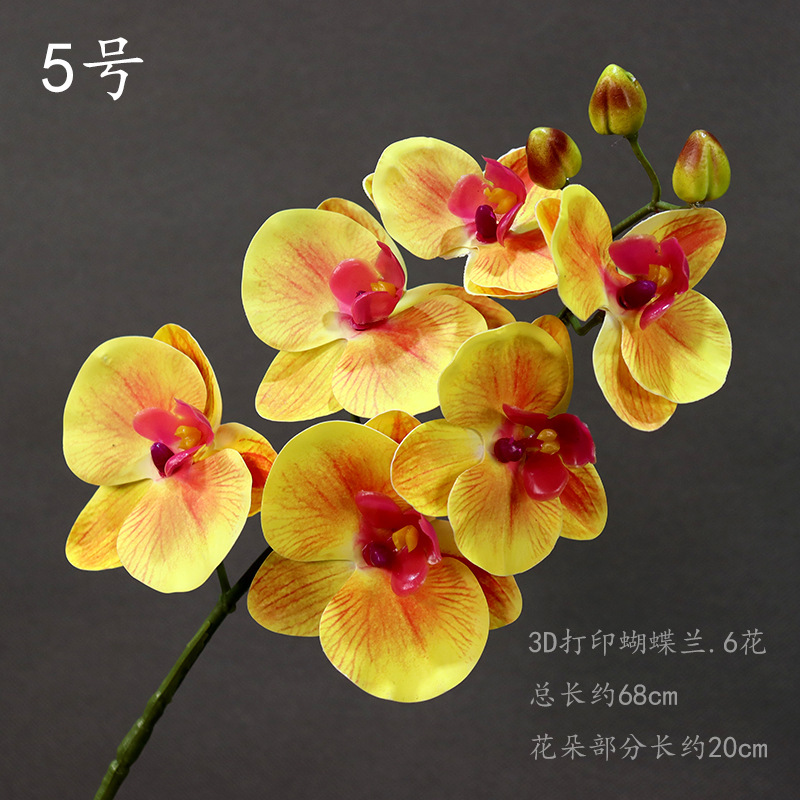 Orchidée papillon à petite branche de 5ème couleur, une branche