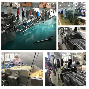 Industrial Automatic Commercial Beef Shrimp Large Type Patty Burger Chicken Meat Nuggets Production Line