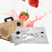 Bavoir aseptique personnalisé sac en boîte en plastique jetable de qualité alimentaire 3L 5L 10L 20L emballage sécurisé de jus de boisson en feuille d'aluminium