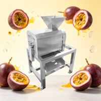 Dubbelkanaals aardbeien-appel-abrikozen-mango fruitpulpmachine voor fruitverwerkingsbedrijven, motor met hoge productiviteit, beste kwaliteit