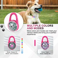 Collier lumineux LED rechargeable USB pour animaux de compagnie, 7 couleurs clignotantes, étanche, pour la sécurité nocturne des chiens