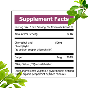 Custom Branded Chlorophyll Liquid Drops from Mulberry Leaf Support Digestive Detox Chlorophyll <b>Supplement</b> with Copper for Adults - Product Image 3