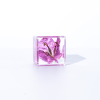Kerajinan Resin, Hadiah, Bunga, Spesimen, Taksidermi, Tanaman Resin, Dekorasi Meja, Suvenir, Spesimen Asli, Hadiah Suvenir