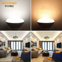 Ampoule LED encastrable BR30 9W de Woojong Factory, culot E26, 810LM, 3000K/6000K, pour cuisine/plafond, certifiée