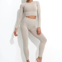 Conjunto Deportivo de 2 Piezas para Mujer, Sin Costuras, Transpirable, de Secado Rápido, para Gimnasio y Fitness