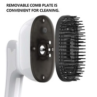 Brosse à vapeur pour lisser les cheveux Vibration Red Led Light Hot 2 en 1 Brosse à cheveux chauffante sans fil Peigne
