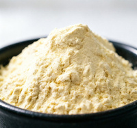 Gomme de guar de qualité alimentaire pour l'industrie alimentaire CAS 9000-30-0 Poudre de gomme de guar biologique