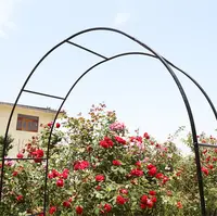 Métal arche de jardin pour plantes grimpantes