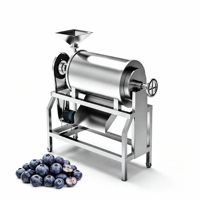 Industriële RVS Elektrische 220V 110V Dubbelkanaals Avocado Tomaat Grapefruit Sap Puree Pulpmachine