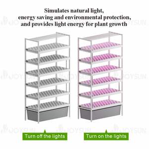 גדול פנימי hydroponics אנכי מקורה מדף צמח צמח cea עבור ירקות פירות עלים ירוקים גיליון חממות מחשב לגדול - Product Image 3