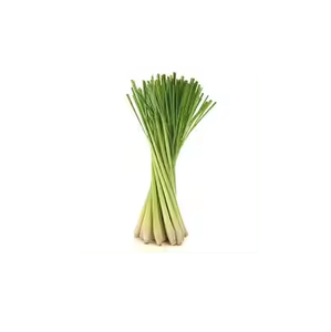 ขวดน้ำแบบผงสกัดจากหญ้าเลมอนฉลากส่วนตัวได้ - Product Image 2