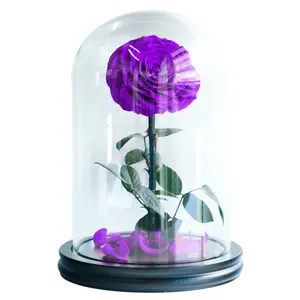 浪漫礼物联系最便宜的价格9-10厘米永恒的玫瑰保存在L玻璃圆顶