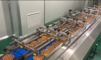 Ligne de production commerciale de gaufres douces: équipement automatique de cuisson et de fabrication