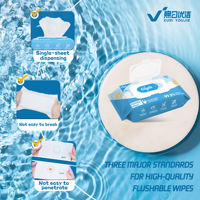 Lingettes humides biodégradables OEM à marque privée, 60 lingettes jetables pour toilettes, parfumées sur mesure, pour le nettoyage des fesses des adultes