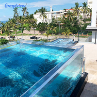 Piscine hors sol gonflable Intex en fibre de verre et plastique, grand format, avec parois transparentes en acrylique