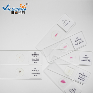 高品質100枚入り動物組織標本スライド　大学用組織学顕微鏡プレパラート - Product Image 4